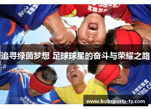 追寻绿茵梦想 足球球星的奋斗与荣耀之路