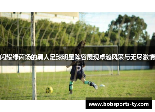 闪耀绿茵场的黑人足球明星阵容展现卓越风采与无尽激情